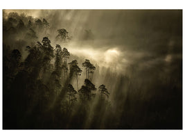 panoramic-3-piece-canvas-print-streiflichter