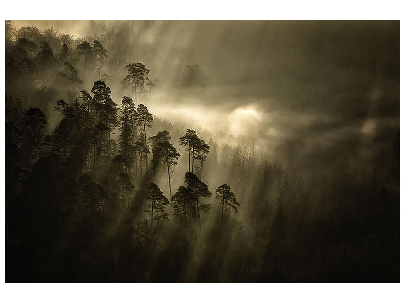 4-piece-canvas-print-streiflichter