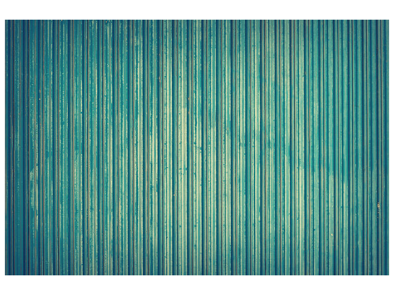 5-piece-canvas-print-strip-of-nature