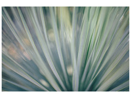 panoramic-3-piece-canvas-print-strip-of-plant