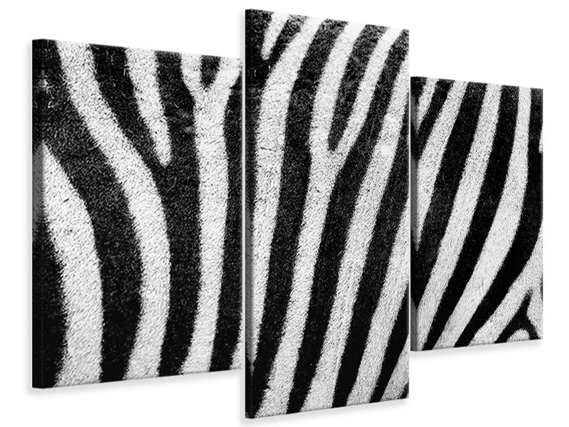 panoramic-canvas-print-strip-of-the-zebra