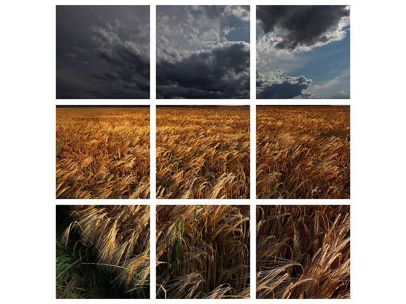 4-piece-canvas-print-strohgaeu