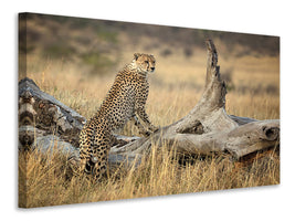 3-piece-canvas-print-strong