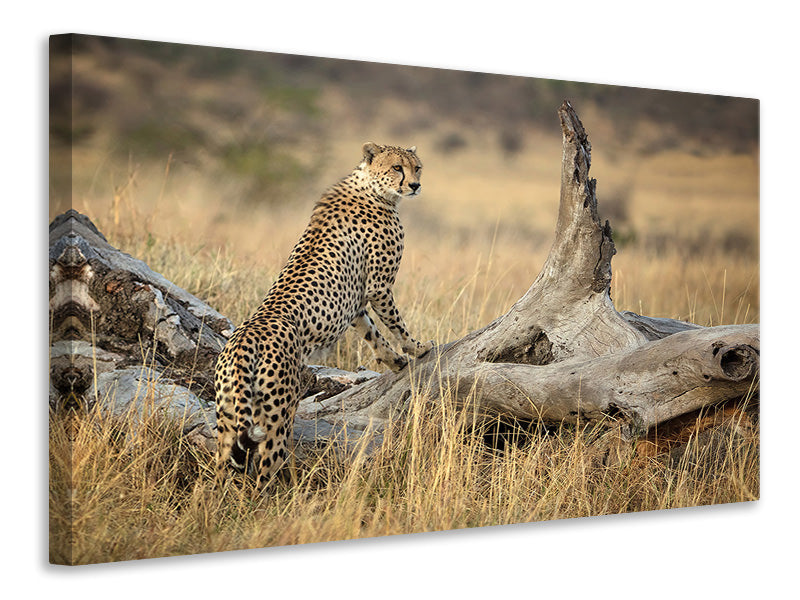 3-piece-canvas-print-strong