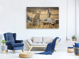 3-piece-canvas-print-strong