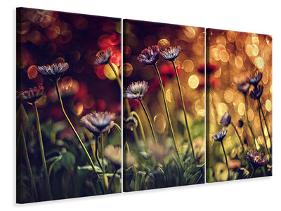panoramic-3-piece-canvas-print-summer-flowers