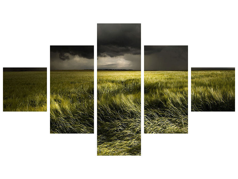 panoramic-3-piece-canvas-print-summer-weather