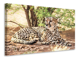 3-piece-canvas-print-sun-cheetah