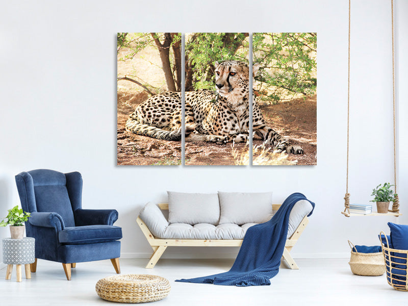 canvas-print-sun-cheetah
