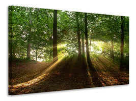 3-piece-canvas-print-sun-in-the-forest