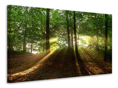 3-piece-canvas-print-sun-in-the-forest