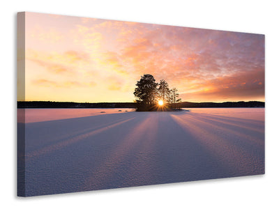 4-piece-canvas-print-sun-kissed
