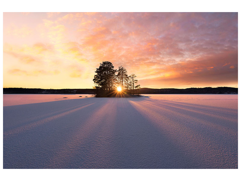 3-piece-canvas-print-sun-kissed