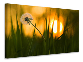 5-piece-canvas-print-sunbathing