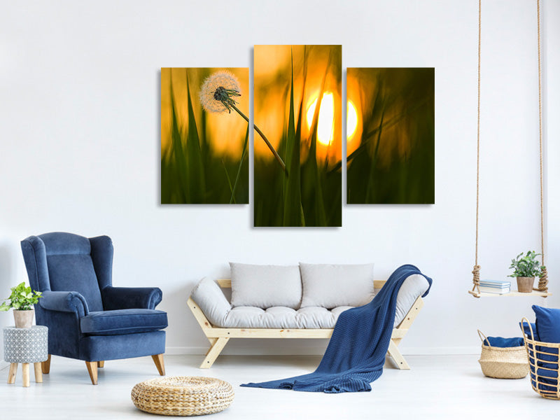 5-piece-canvas-print-sunbathing