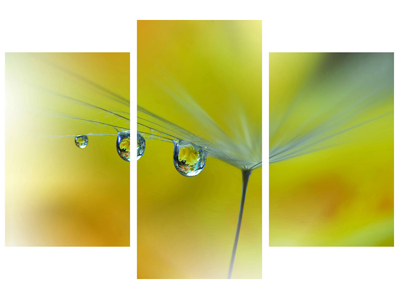 panoramic-3-piece-canvas-print-sunbeam-iii