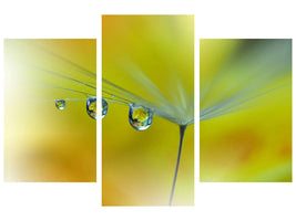 canvas-print-sunbeam-iii