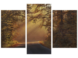 canvas-print-sunbeams-in-the-forest