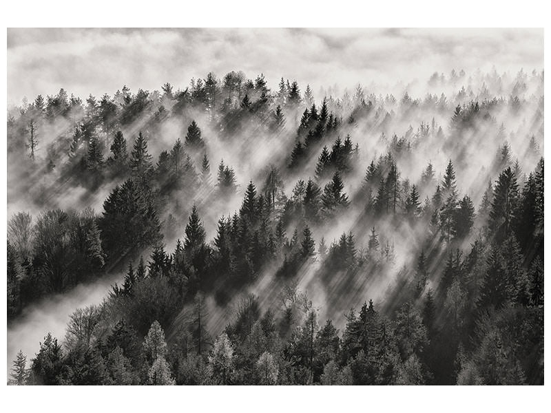 panoramic-3-piece-canvas-print-sundance-no-i