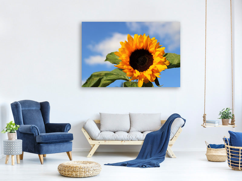 3-piece-canvas-print-sunflower-in-bloom