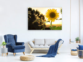 3-piece-canvas-print-sunflower-in-the-sunrise