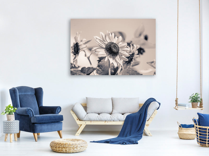 3-piece-canvas-print-sunflowers-sw