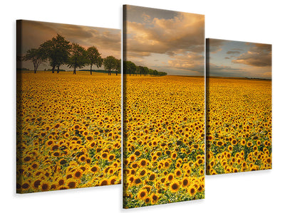 modern-4-piece-canvas-print-sunflowers