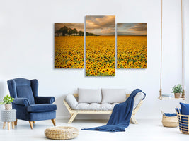 3-piece-canvas-print-sunflowers