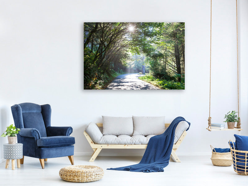 modern-3-piece-canvas-print-sunny-forest-path
