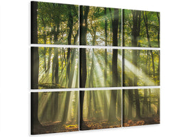 4-piece-canvas-print-sunny-start-to-the-day