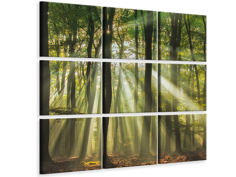 4-piece-canvas-print-sunny-start-to-the-day