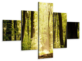 canvas-print-sunrise-in-the-forest