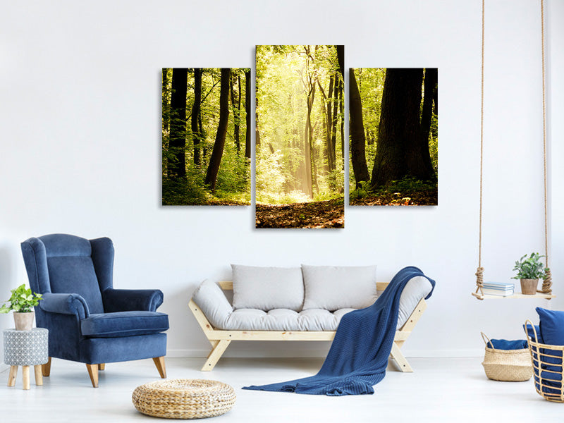 canvas-print-sunrise-in-the-forest