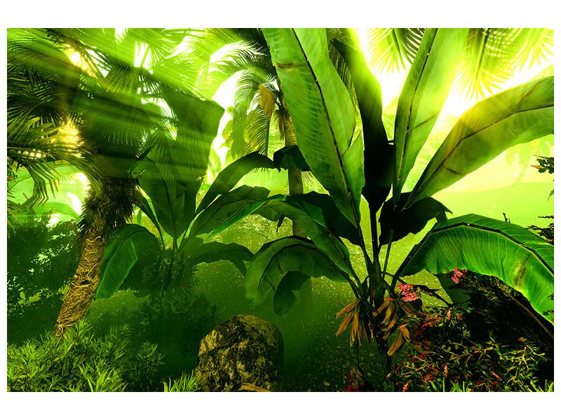 panoramic-3-piece-canvas-print-sunrise-in-the-rainforest