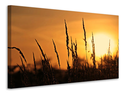 panoramic-canvas-print-sunrise-on-the-field