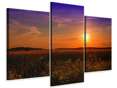 panoramic-canvas-print-sunset-at-the-flower-field