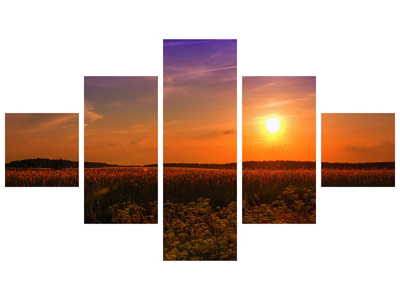 modern-4-piece-canvas-print-sunset-at-the-flower-field