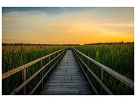 panoramic-canvas-print-sunset-in-the-fields