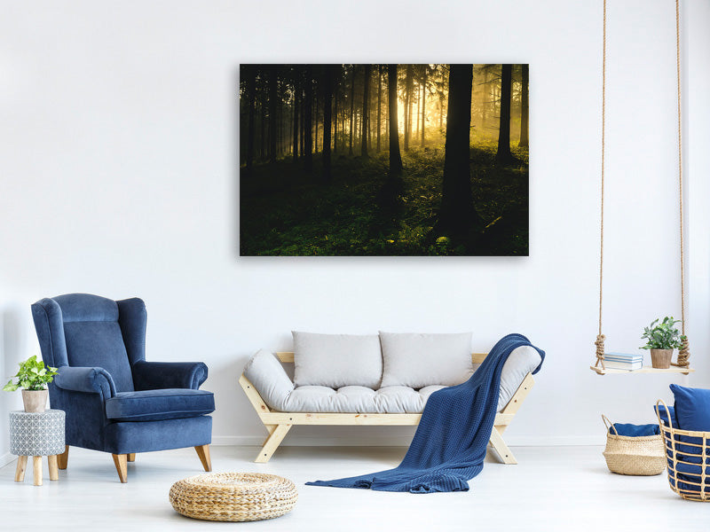 3-piece-canvas-print-sunset-in-the-forest