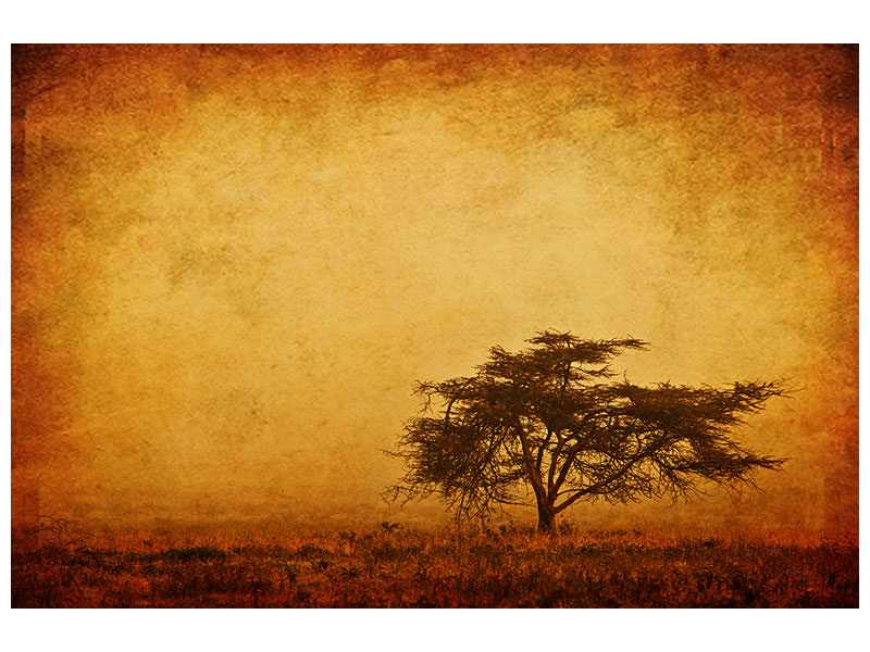 5-piece-canvas-print-sunset-mood