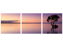 3-piece-canvas-print-sunset-on-the-tree-in-the-water