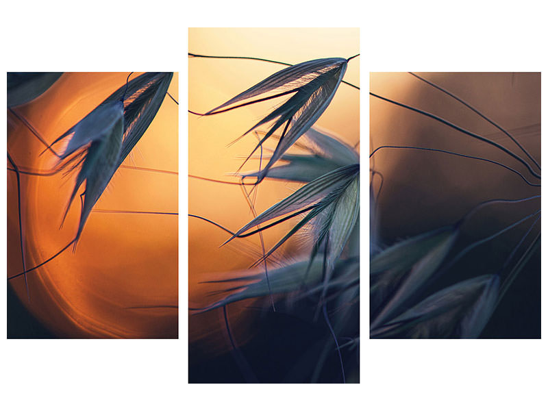 panoramic-3-piece-canvas-print-sunset-p
