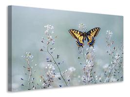 modern-3-piece-canvas-print-swallowtail-beauty