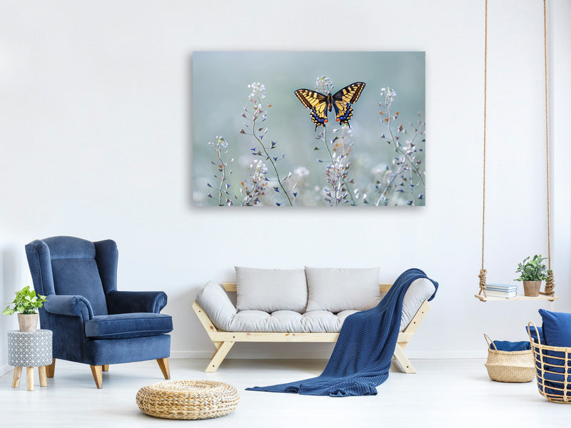 3-piece-canvas-print-swallowtail-beauty