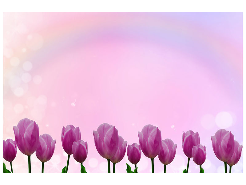 3-piece-canvas-print-sweet-tulips