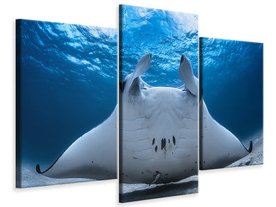 4-piece-canvas-print-take-off-manta-airline
