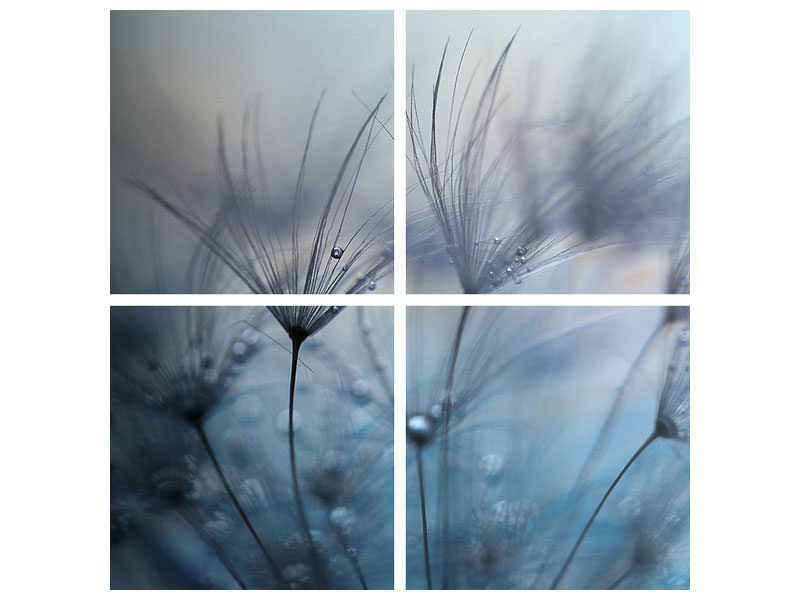 canvas-print-teardrops