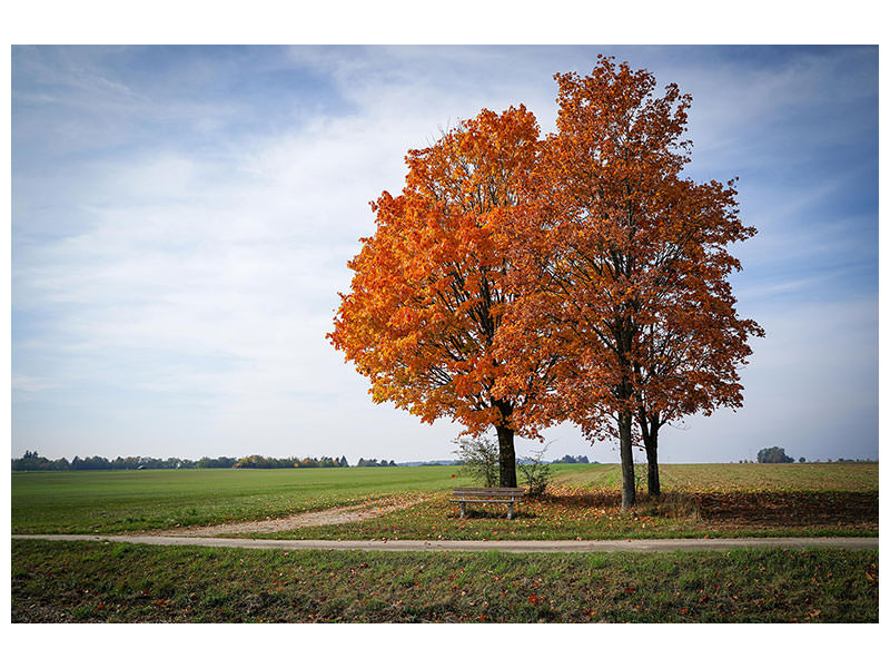 3-piece-canvas-print-the-3-trees