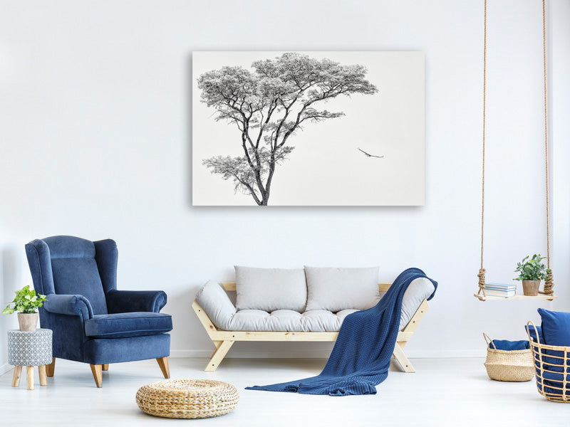 3-piece-canvas-print-the-african-eagle