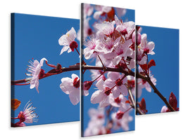 4-piece-canvas-print-the-almond-blossom